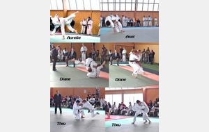 Competitions  du 5 § 6 Mars 2011 