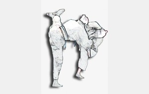 Finale 78 Minimes et Benjamins les 2/3 Avril 2011