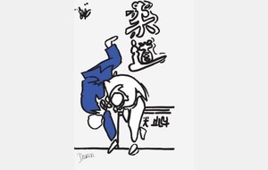  Samedi 17 mars 2012 Championnat des Yvelines 