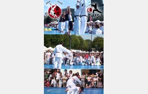 SAMEDI 31 MARS 2012 Démonstration d' Arts Martiaux