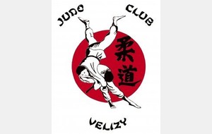 COURS JUDO PENDANT LES VACANCES