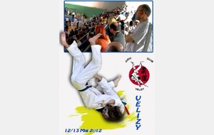 COMPETITION DE JUDO A VELIZY LES 12/13 MAI