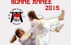 BONNE ANNEE 2015