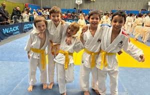 Compétition amicale