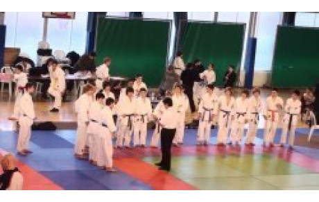 Judo Sélection Championnat des Yvelines minimes