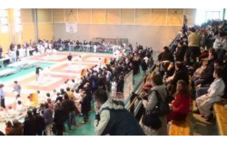 JUDO TOURNOI D'IGNY 2010. Résultats