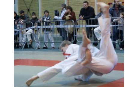 JUDO COMPETITIONS 13 &amp; 14 MARS 2010 