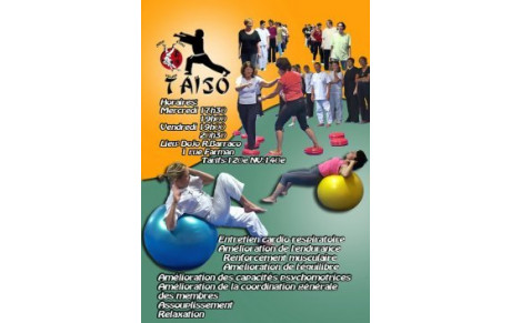 REPRISE COURS TAÏSO
