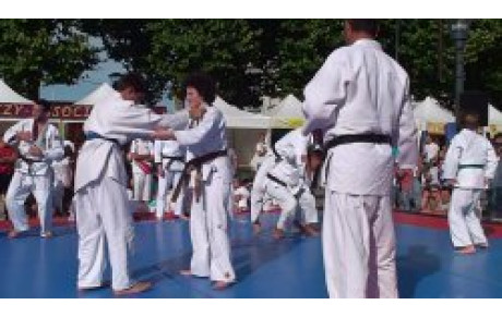 Fête des associations 2010