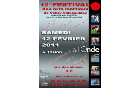 DVD 12ème Festival des Arts Martiaux