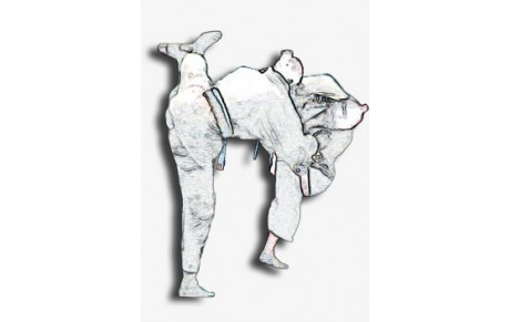 Finale 78 Minimes et Benjamins les 2/3 Avril 2011