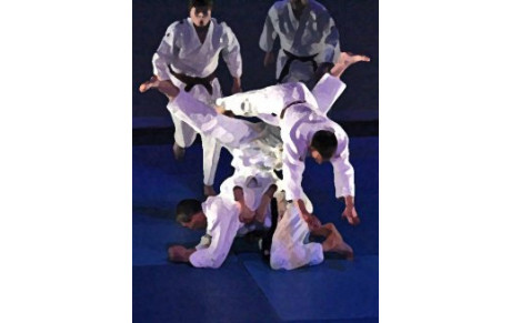 Samedi 30 Avril 3ème Challenge du jeune Samouraï