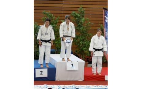 Résultats des Chpts. de France judo FSGT 2011