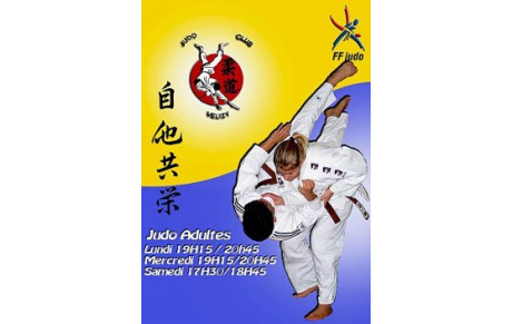 REPRISE DES COURS POUR LE JUDO ADULTES: