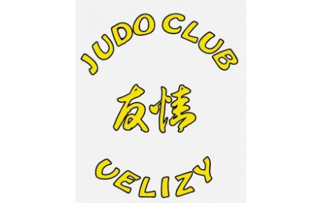 Stage Judo le 11,12 13 Novembre 2011