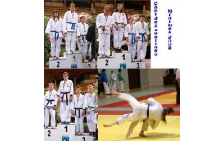 Championnat des Yvelines Minimes 2008