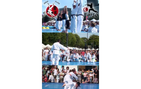 SAMEDI 31 MARS 2012 Démonstration d' Arts Martiaux