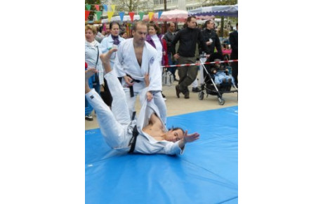 Démonstration d'Arts Martiaux