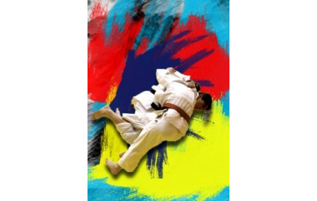 1/2 finale Championnat de France Individuel 