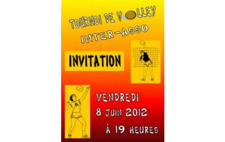 TOURNOI DE VOLLEY-BALL INTER ASSOCIATIONS