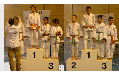 JUDO COUPE DE MAUREPAS