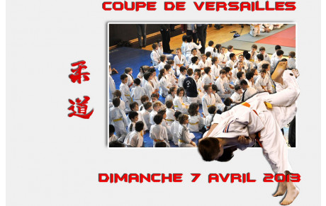 JUDO COUPE DE VERSAILLES Dimanche 7 Avril 2013
