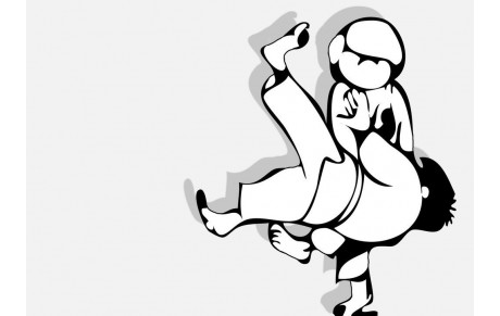 Championnat des Yvelines Judo Benjamins(es)