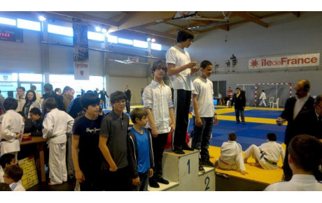 Résultats championnat des Yvelines judo benjamins(es)