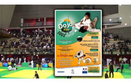DOJO D'ETE PARIS JUILLET / AOUT 2013