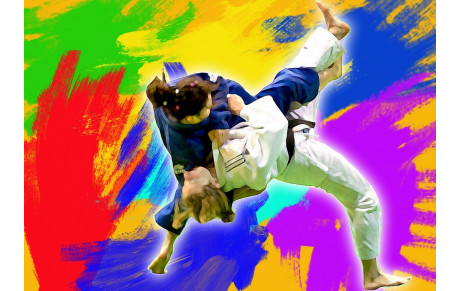 TOURNOI JUDO DE TROYES