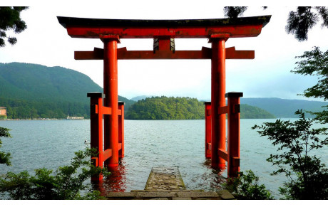 ASSEMBLEE GENERALE DU JUDO CLUB VELIZY