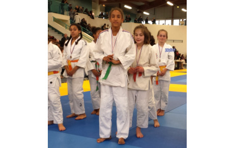 Judo 1 er tour secteur benjamines Yvelines