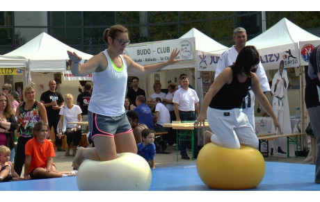Septembre 2014 Fête des Associations à Vélizy
