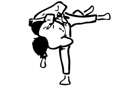 Stage judo de la Toussaint