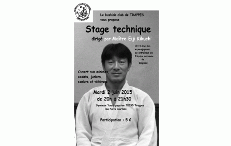 Trappes Stage Judo Mardi 2 juin 2015