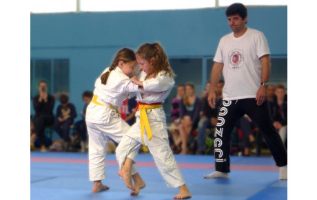 Pas de cours judo lundi 25 mai 2015
