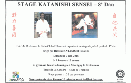 STAGE JUDO - Sensei Hiroshi KATANISHI