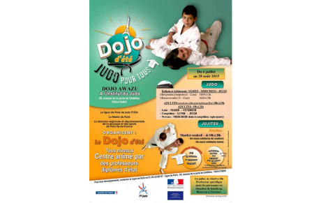DOJO D'ETE PARIS 2015