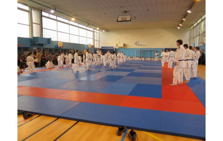 ATTENTION LE COURS JUDO ADULTE DU SAMEDI 26 SEPTEMBRE 2015 DE 18H00  EST DEPLACE AU GYMNASE J. BOROTRA