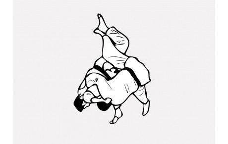 Compétitions du 7 et du 8 Novembre 2015