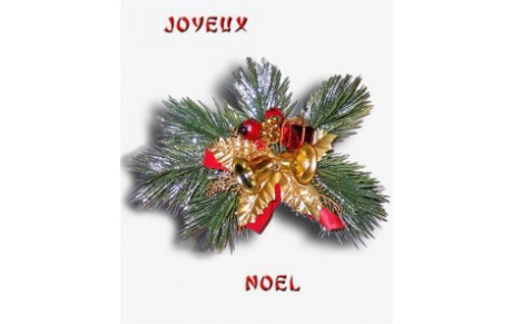 Vacances de Noël